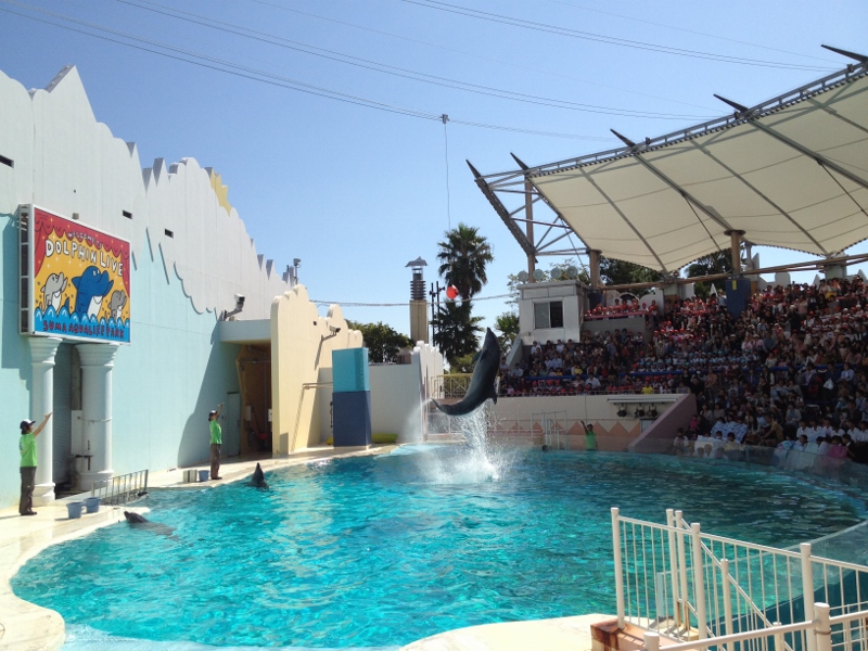 須磨水族園のランチはやっぱりお弁当持込が一番 神戸っ子の口コミ観光案内 子連れで楽しむ神戸観光